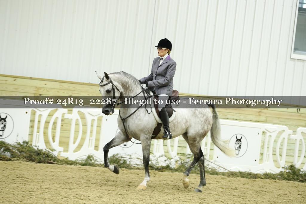 Proof 24R13_22287