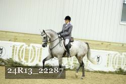 24R13_22287 proof
