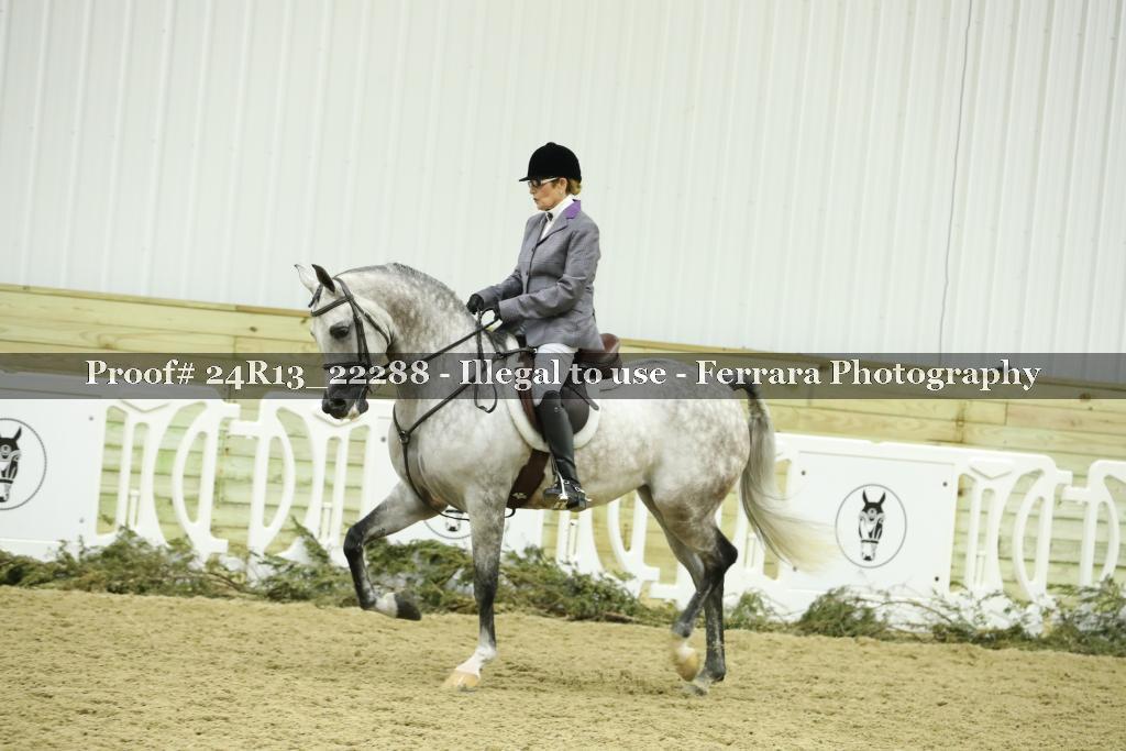 Proof 24R13_22288