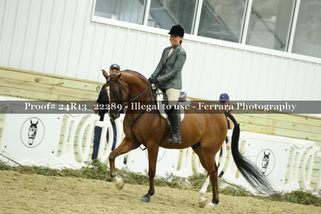 Proof 24R13_22289