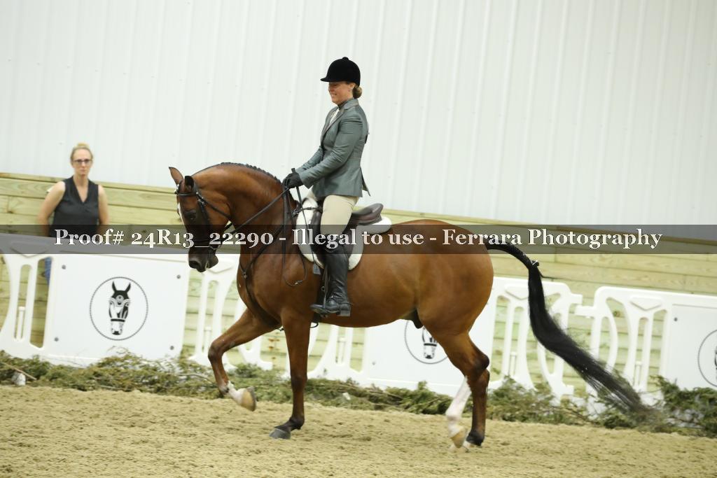 Proof 24R13_22290