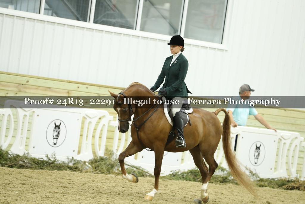 Proof 24R13_22291