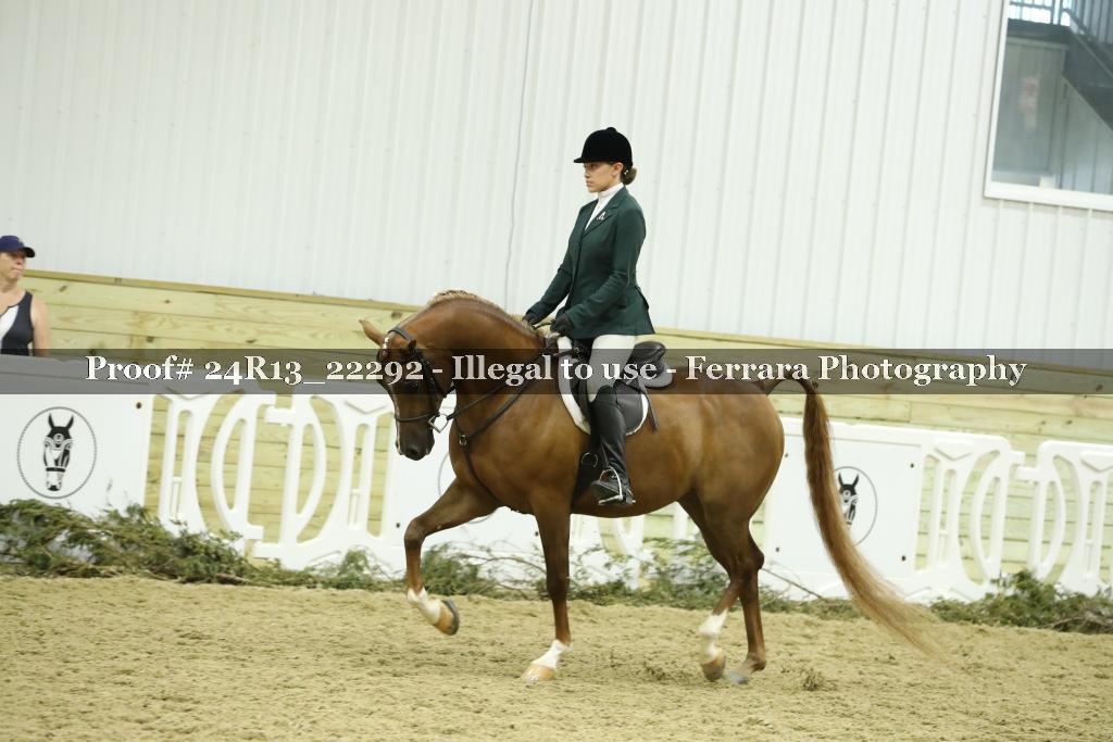 Proof 24R13_22292
