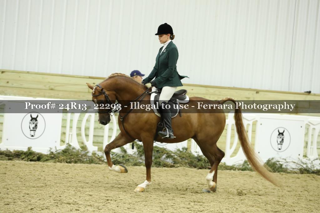 Proof 24R13_22293