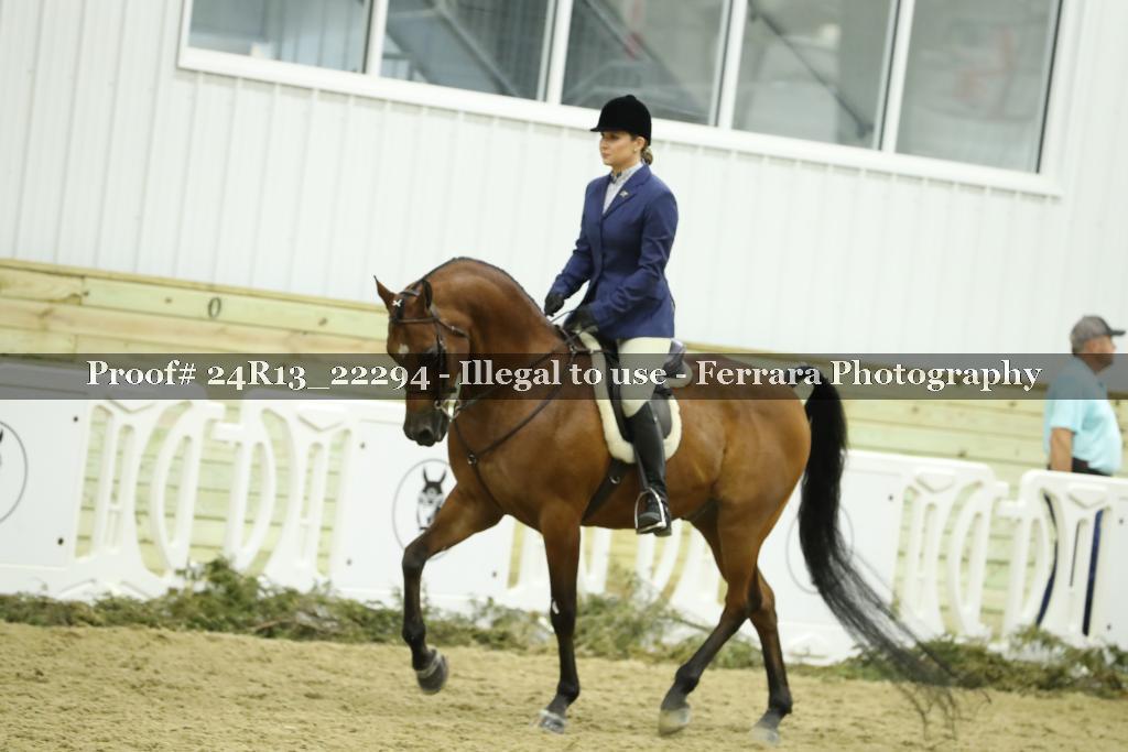 Proof 24R13_22294