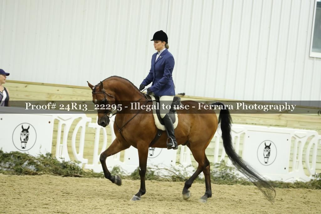 Proof 24R13_22295
