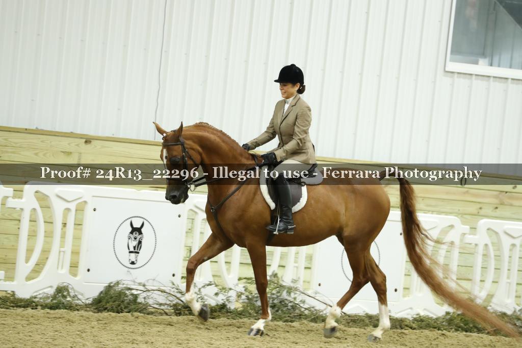 Proof 24R13_22296