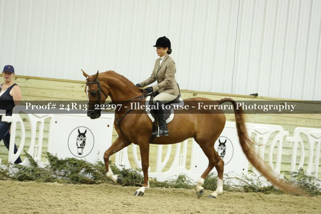 Proof 24R13_22297