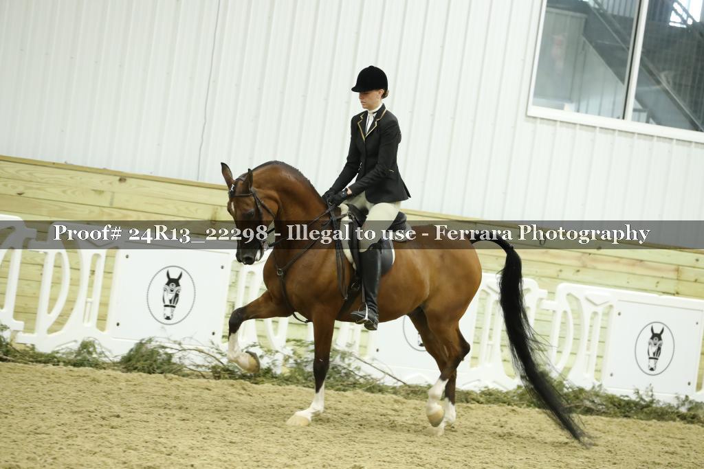 Proof 24R13_22298