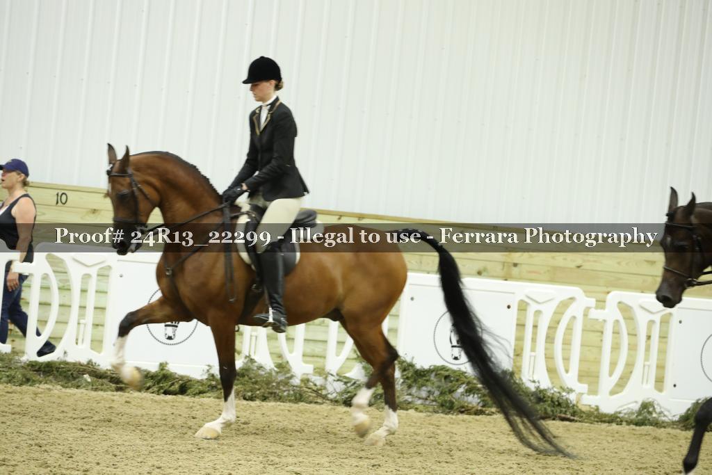 Proof 24R13_22299