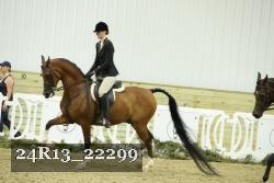 24R13_22299 proof