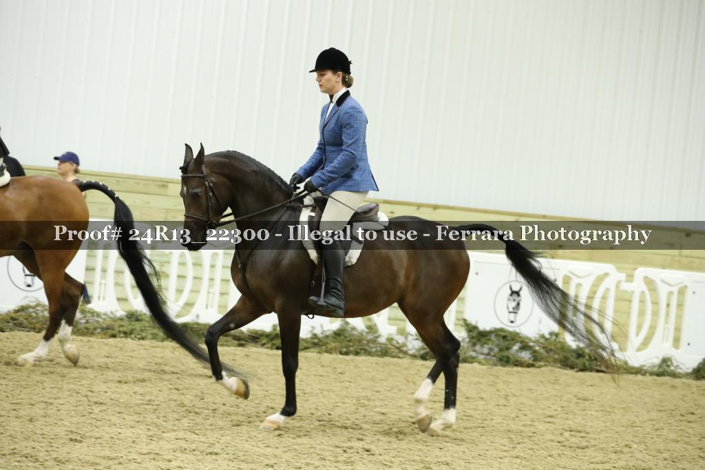 Proof 24R13_22300