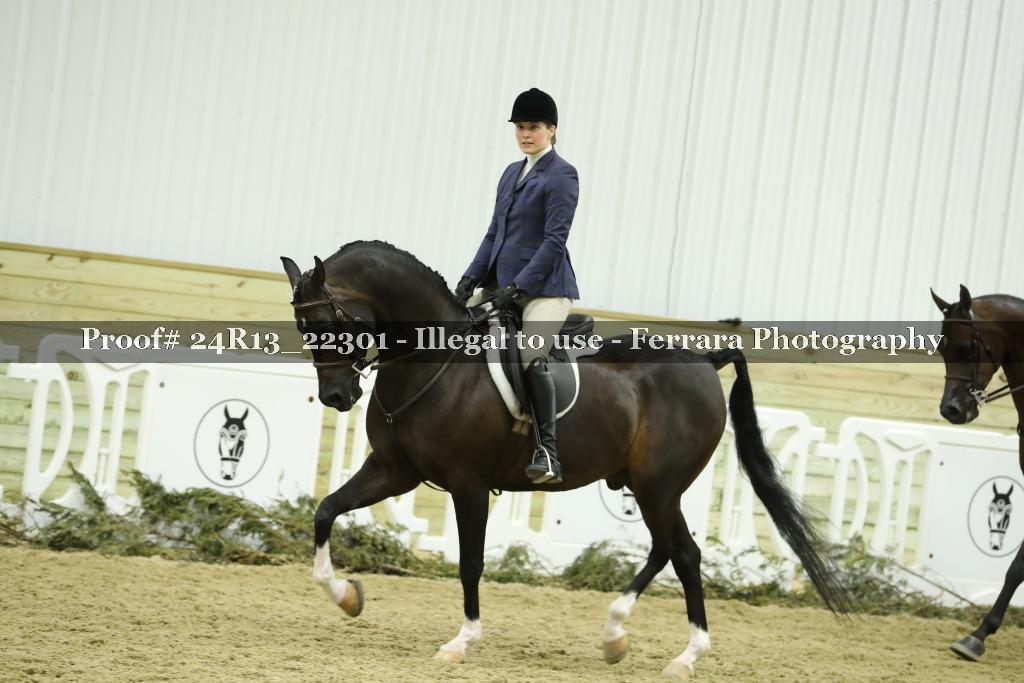 Proof 24R13_22301