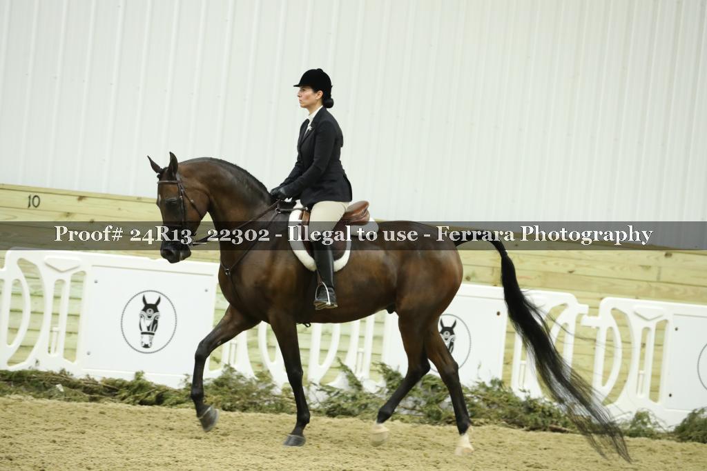 Proof 24R13_22302