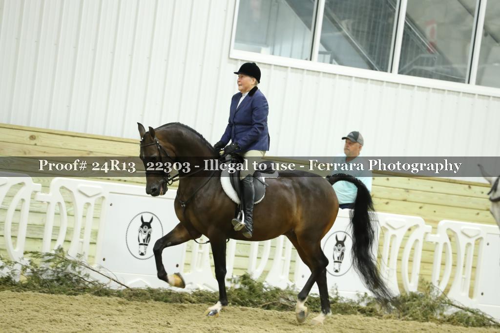 Proof 24R13_22303
