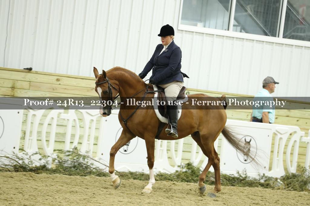 Proof 24R13_22304