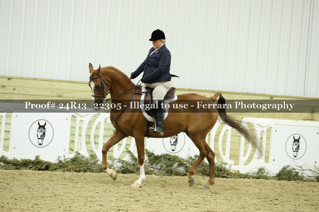Proof 24R13_22305