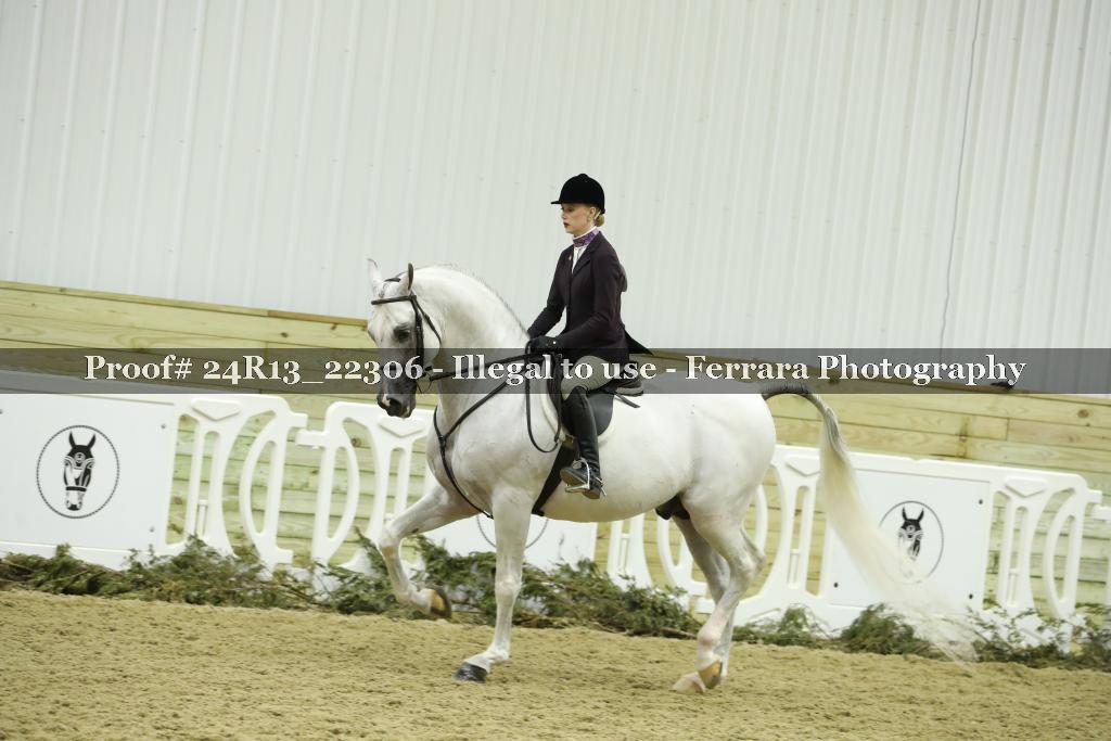 Proof 24R13_22306