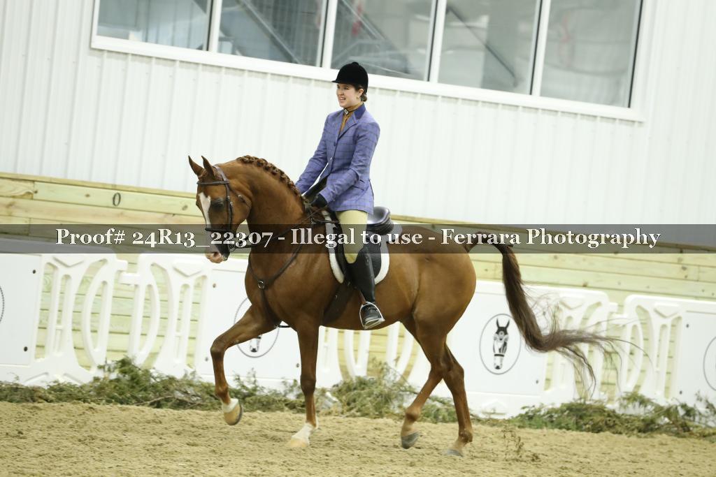 Proof 24R13_22307