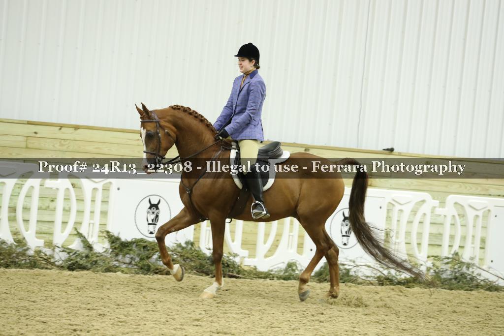Proof 24R13_22308