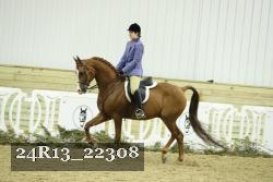24R13_22308 proof