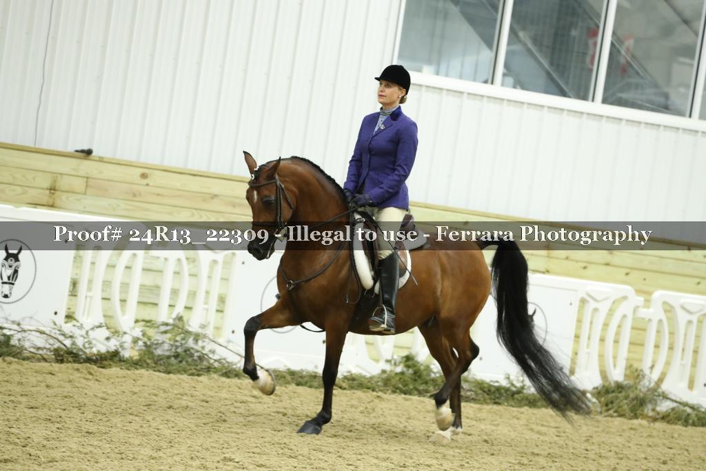 Proof 24R13_22309