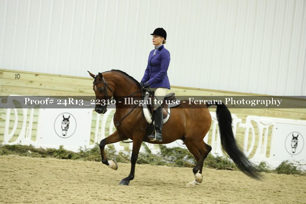 Proof 24R13_22310