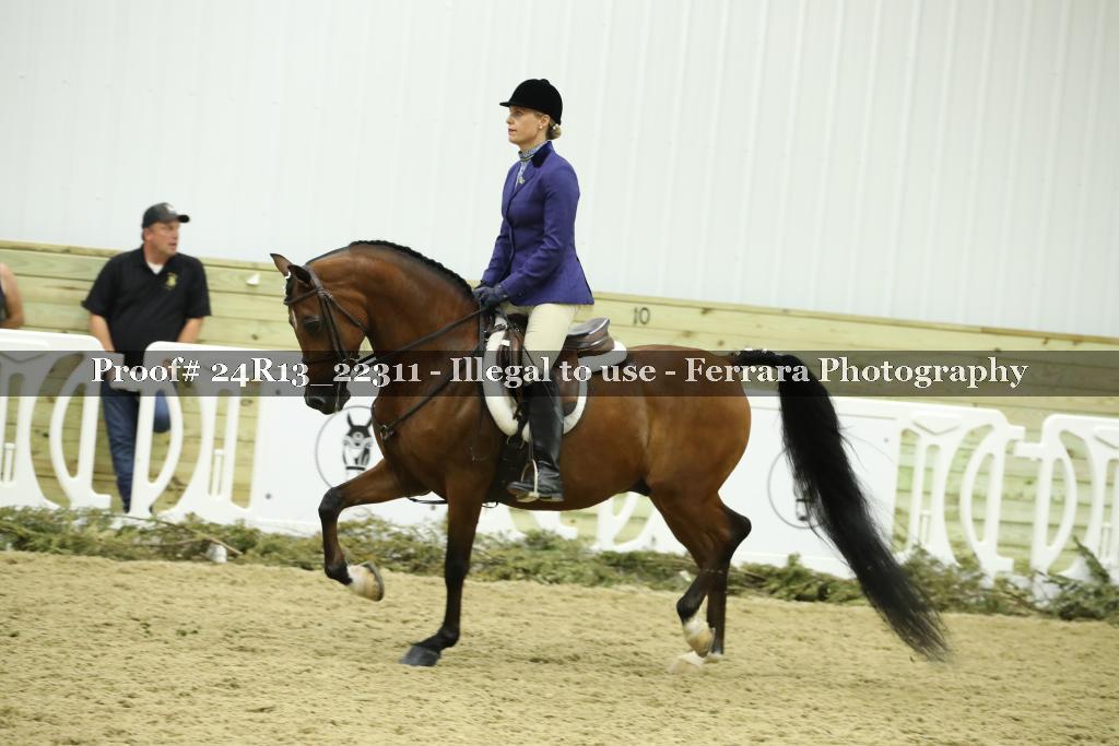Proof 24R13_22311