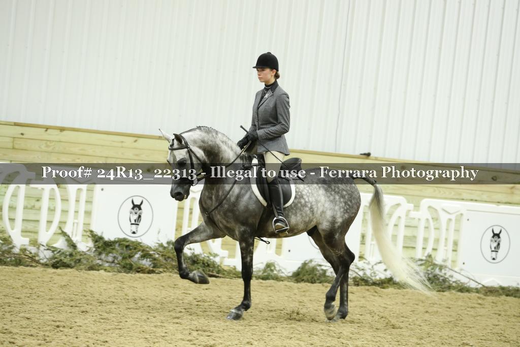 Proof 24R13_22313