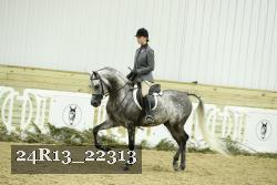 24R13_22313 proof