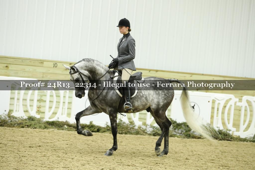 Proof 24R13_22314