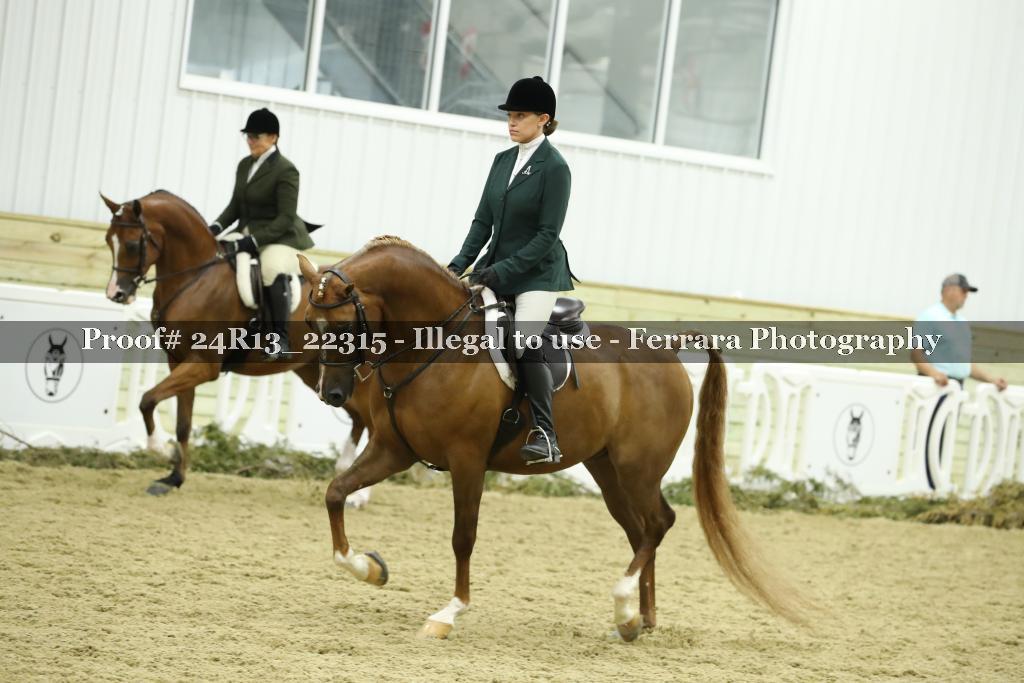 Proof 24R13_22315