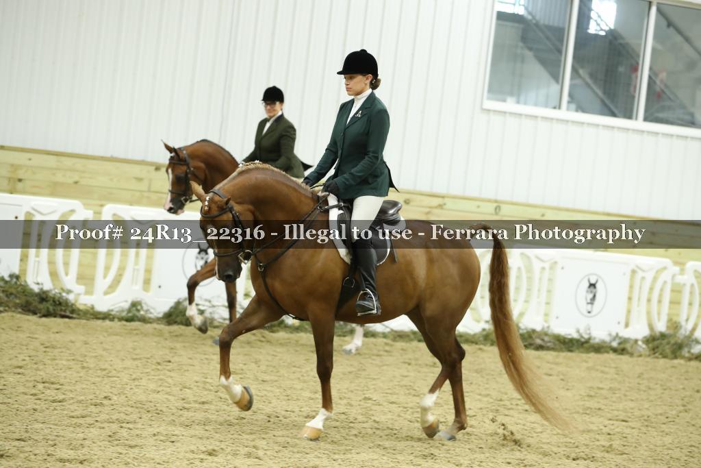 Proof 24R13_22316