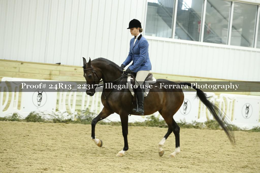 Proof 24R13_22317