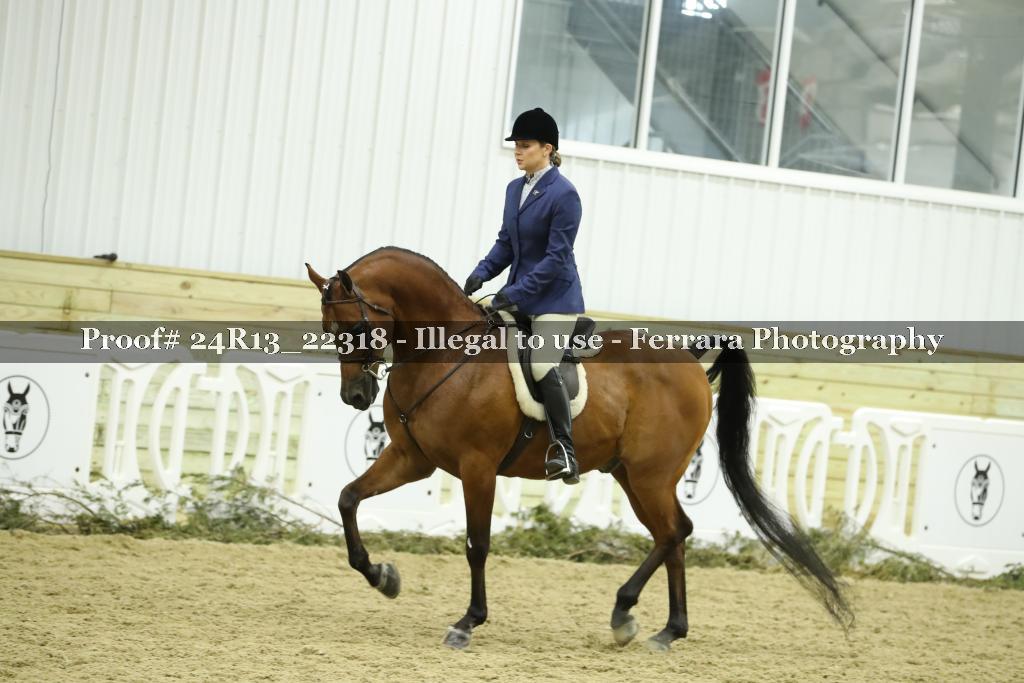Proof 24R13_22318