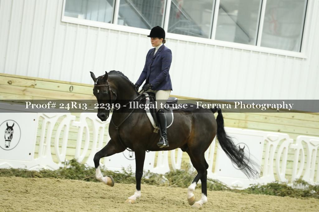 Proof 24R13_22319