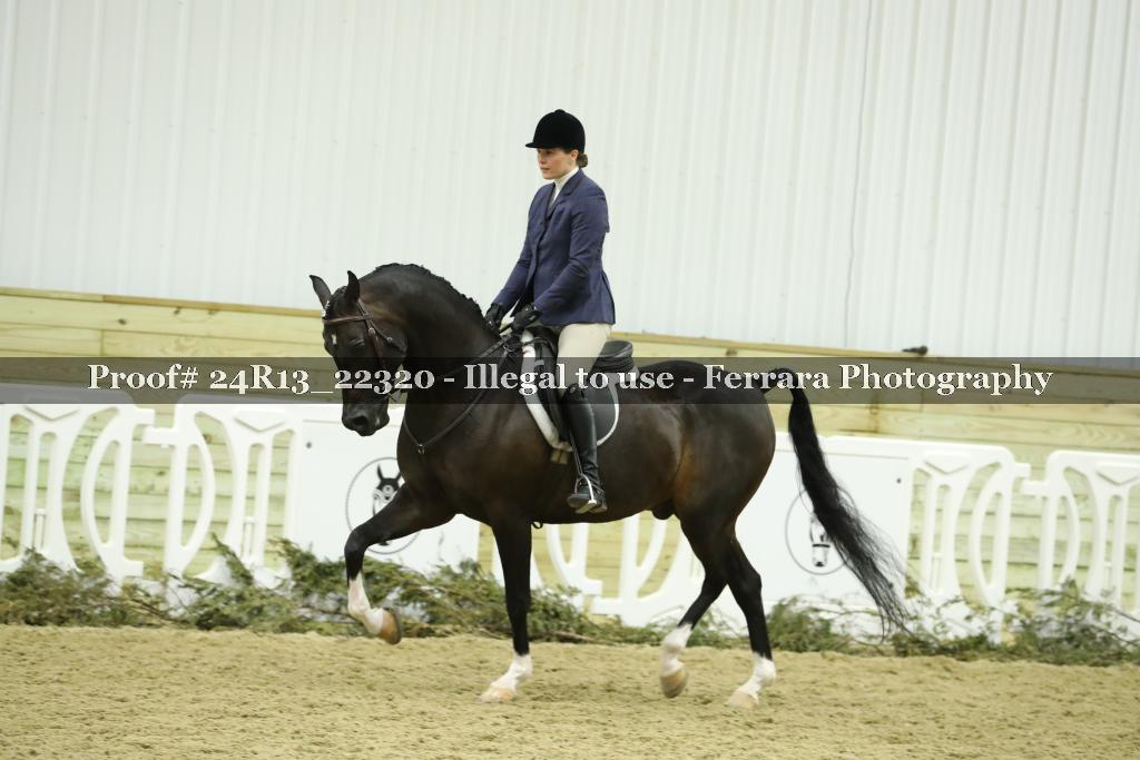 Proof 24R13_22320