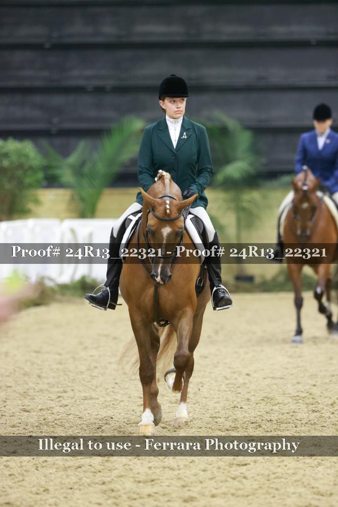 Proof 24R13_22321