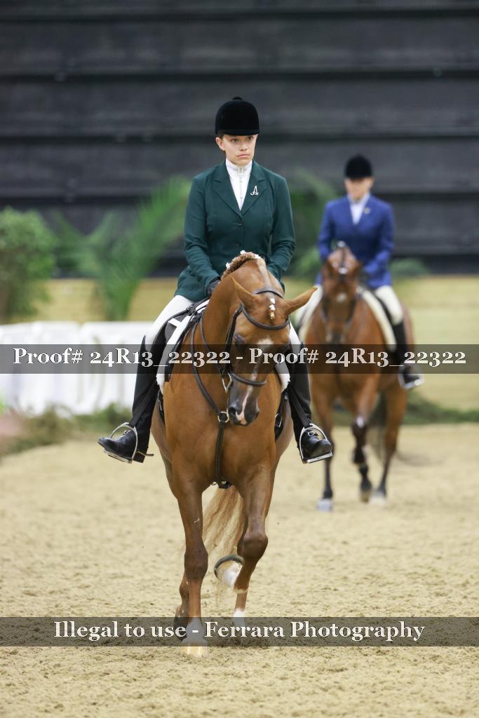 Proof 24R13_22322