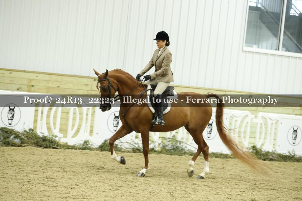 Proof 24R13_22323