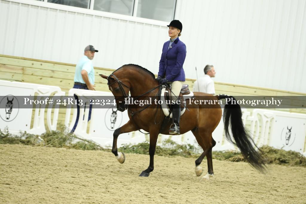 Proof 24R13_22324