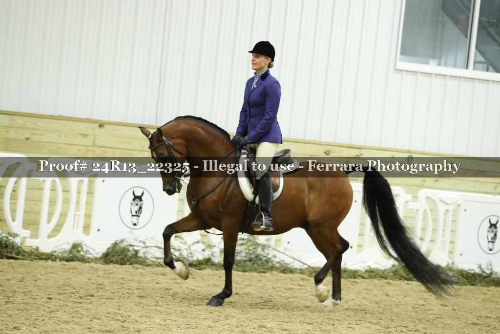 Proof 24R13_22325