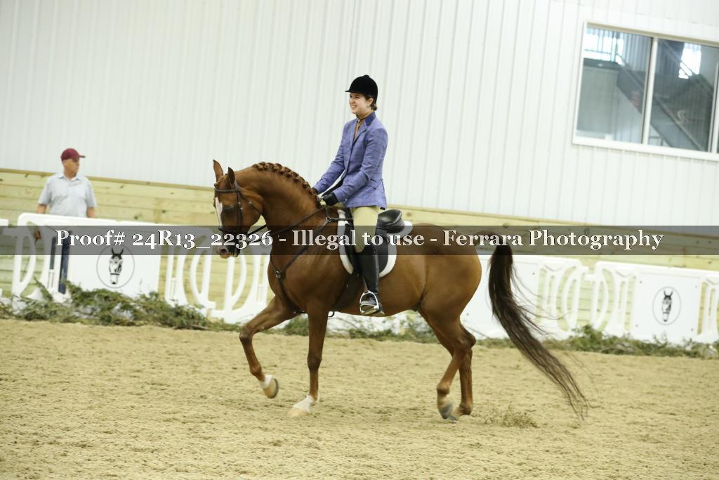 Proof 24R13_22326