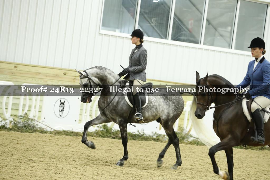 Proof 24R13_22327