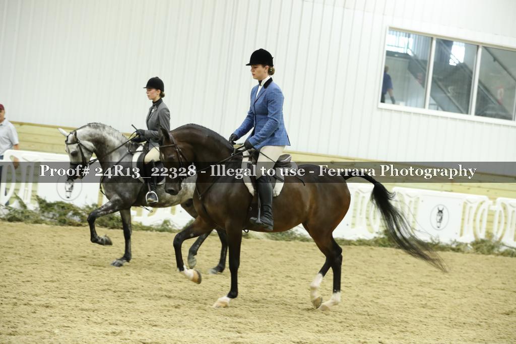 Proof 24R13_22328