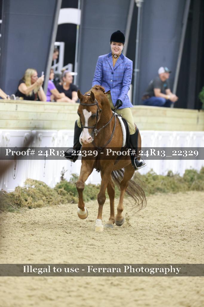 Proof 24R13_22329