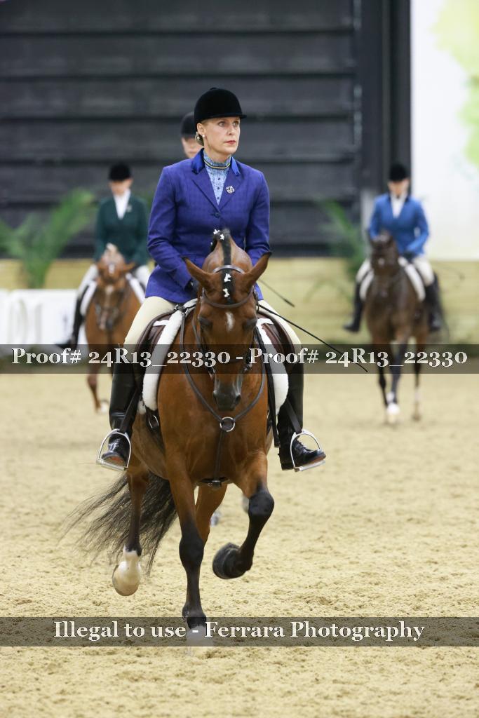 Proof 24R13_22330