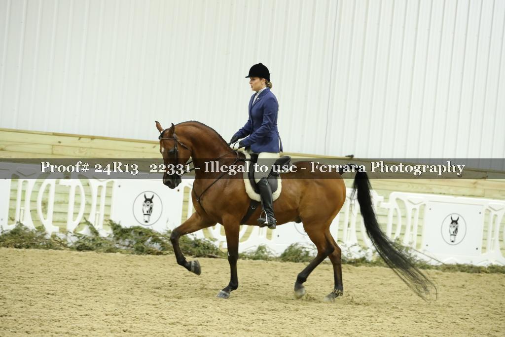 Proof 24R13_22331