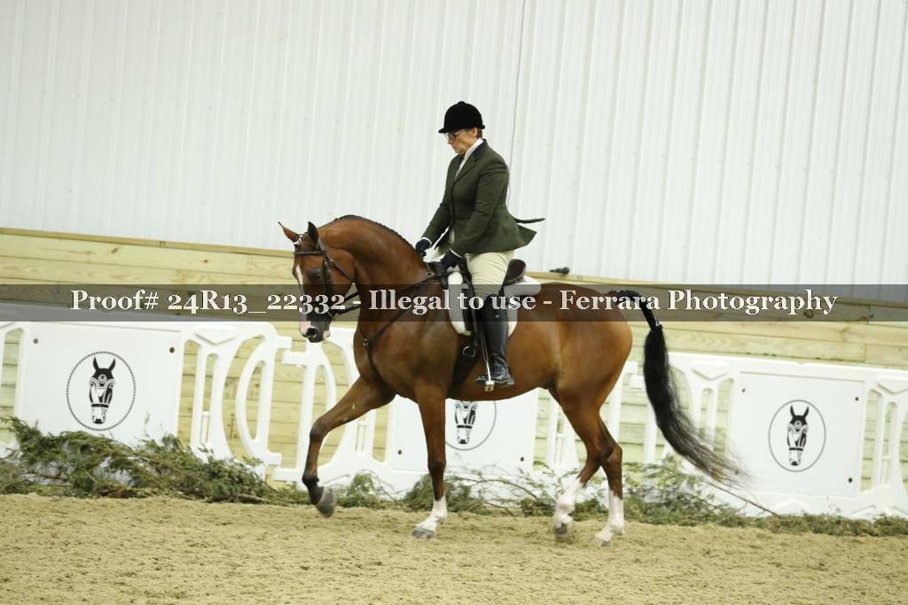 Proof 24R13_22332