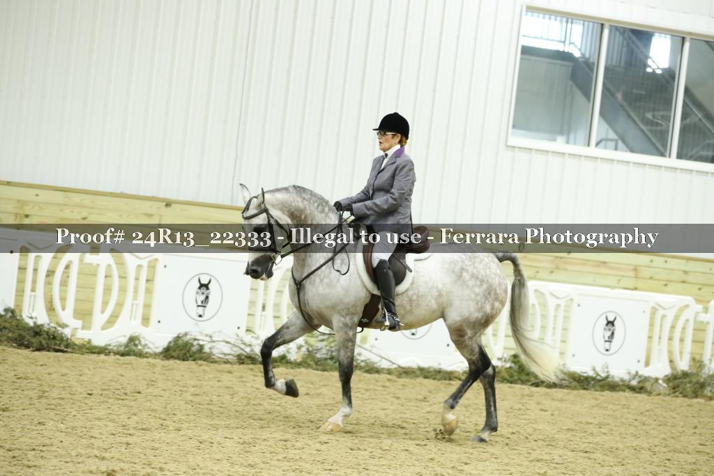 Proof 24R13_22333